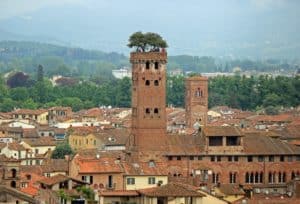 View over Torre Guinigi, a historical tower of the city of Lucca