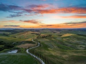 View on the Tuscan countryside at sunset. The hills are full of green cypresses, typical trees from Italy