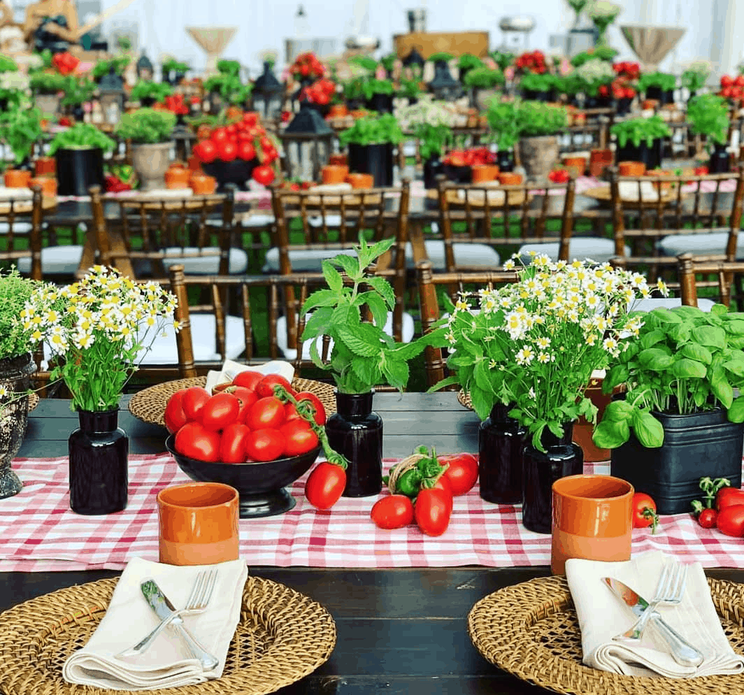 Table set up decorated with Italian tomatoes and Basil