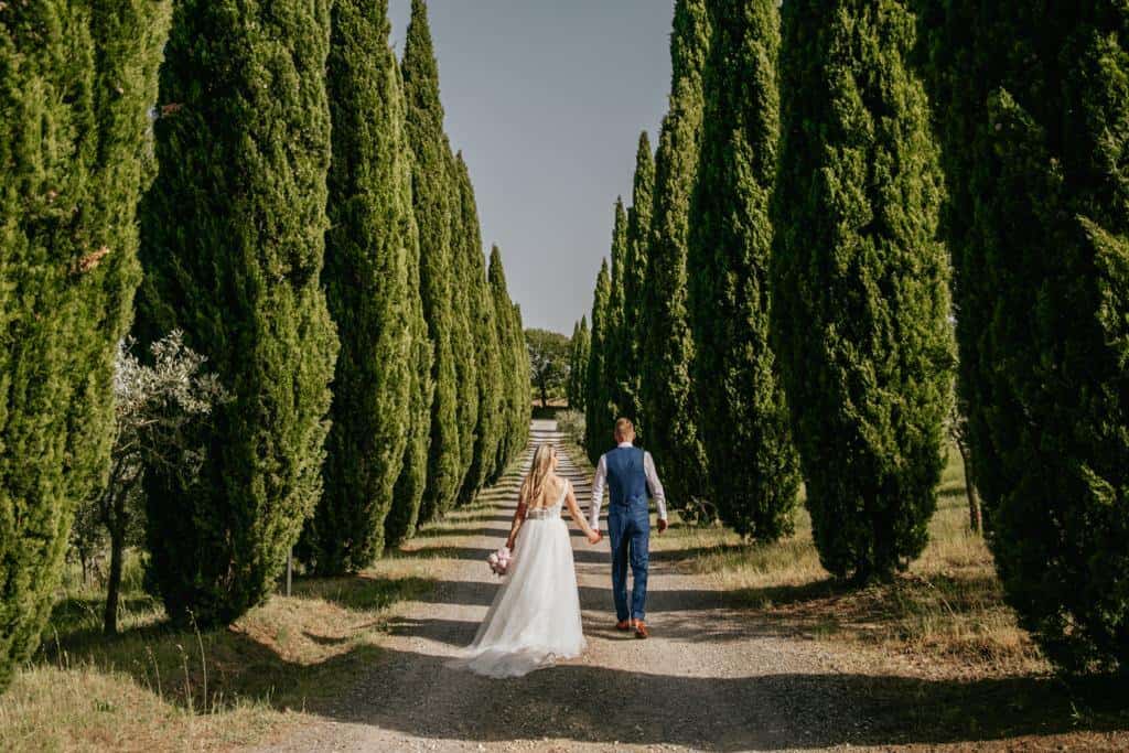 Bride and groom are walking between the olive groves