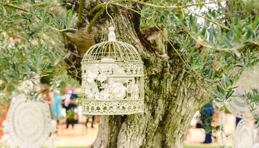 A beautifully styled wedding gift table with a vintage birdcage and floral accents, perfect for a rustic wedding theme.