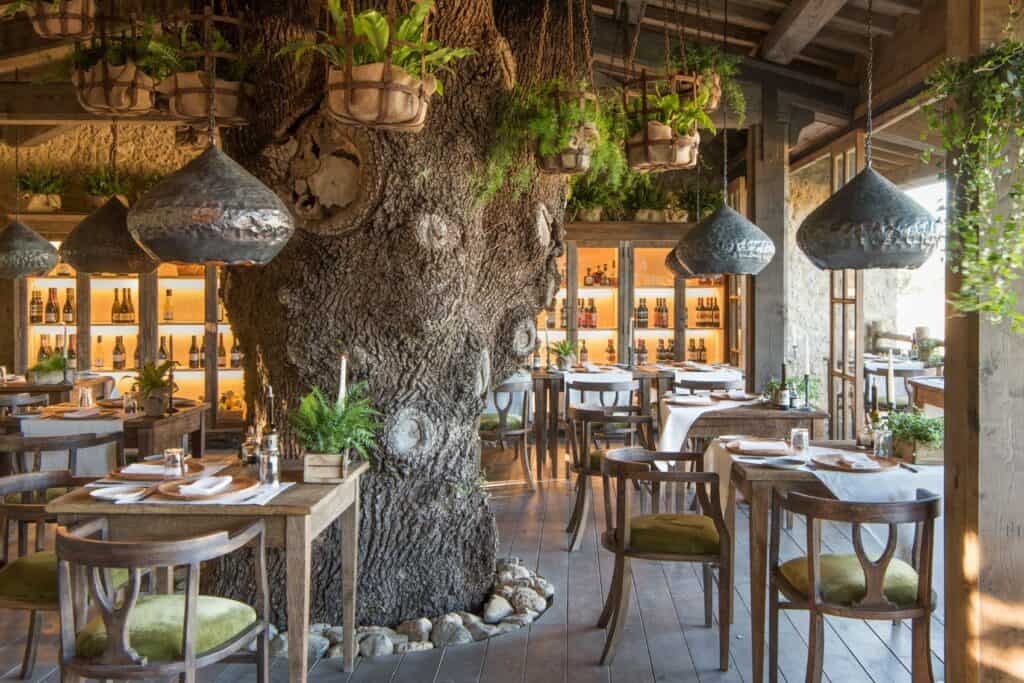 Trattoria sull'albero wonderful and rustic Tuscany restaurant built around an ancient oak tree