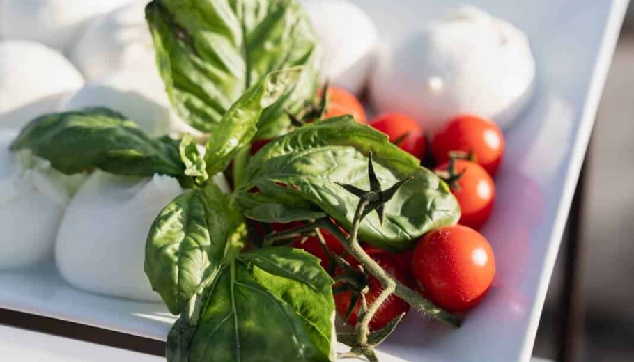 Italian "antipasti" appetisers with tomatoes, mozzarella and basil