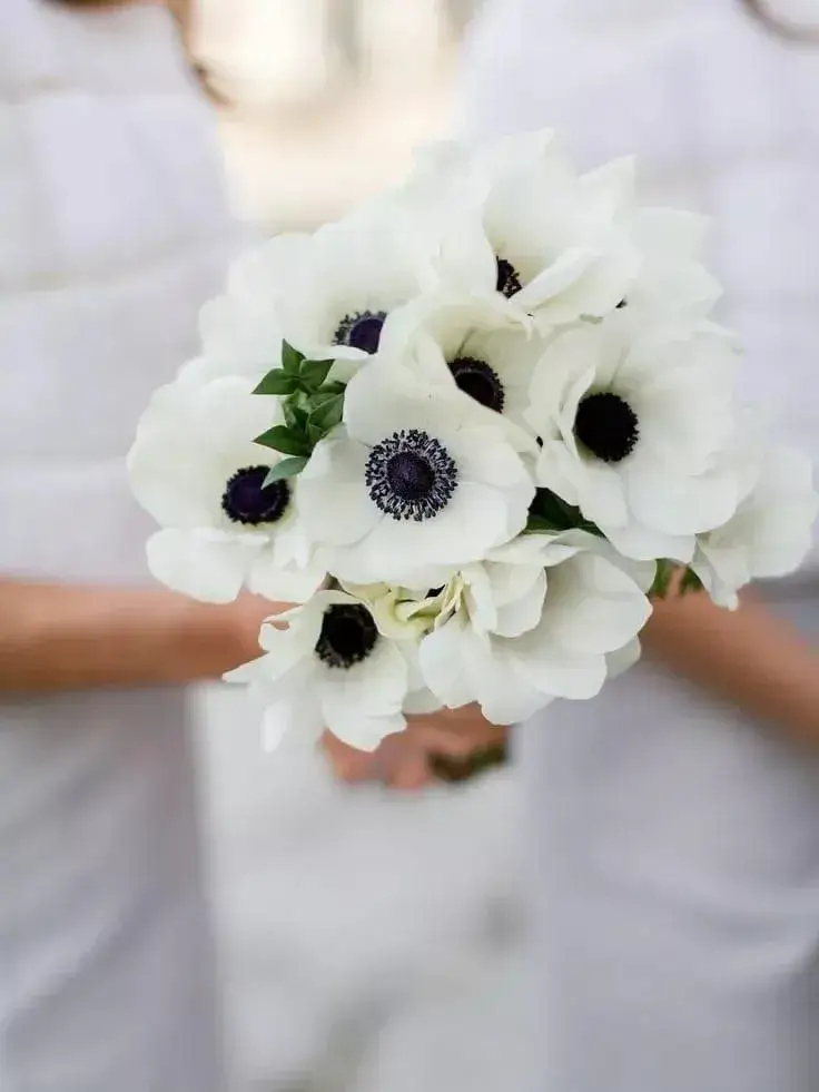 anemone spring flower for wedding